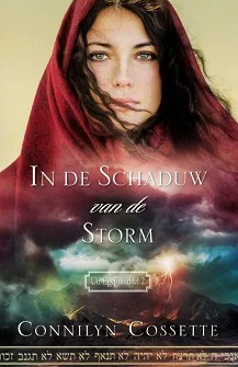 Aanbieding In de schaduw van de storm